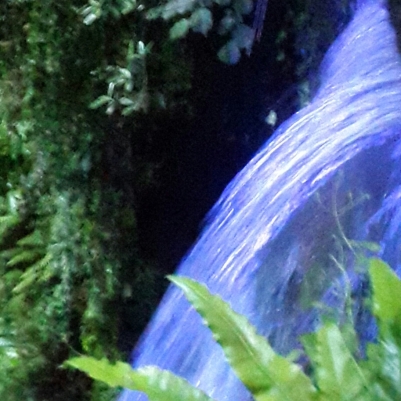 Waterfall at Shanklin Chine. Magic light