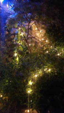 Even the pub gardens have fairy lights and ponds